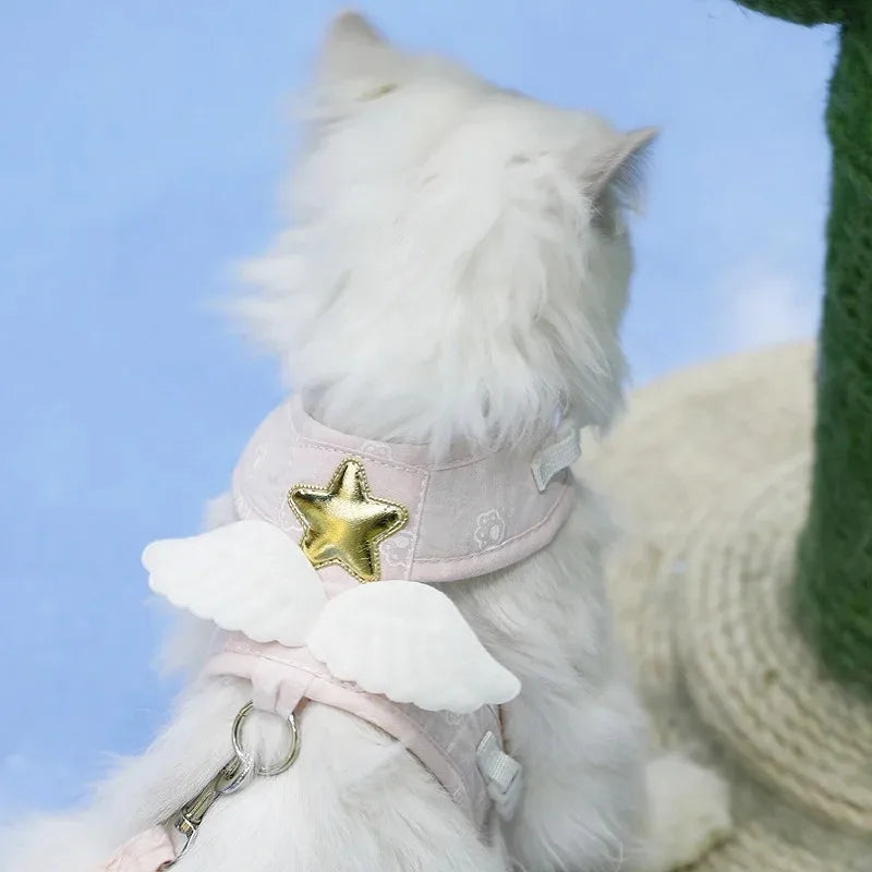 Angel Wing Pet Harness With Leash