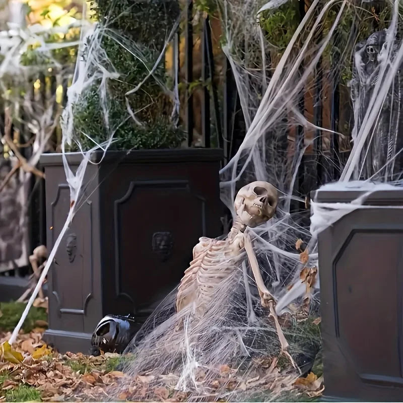 Stretchable Spider Webs with 2 Spiders Each