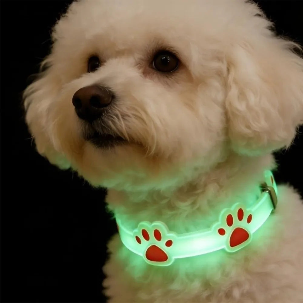 Pet Supplies Adjustable Cat Collar Anti-Loss Silicone Pet Luminous