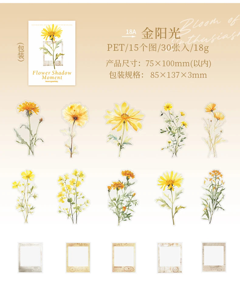 30 pcs film and Flowers Plant Stickers pack Creativity PET Decorative Sticker for DIY Diary Scrapbooking Junk Journal Supplies