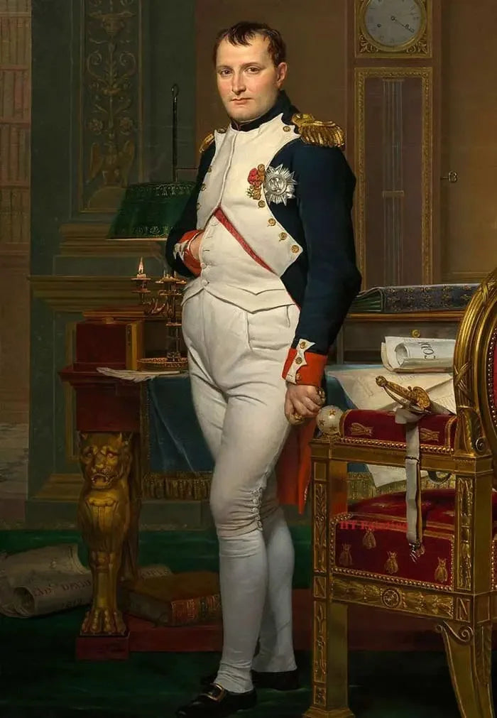 Vintage Classic Napoleon Bonaparte Coronation Wall Art, Canvas Print Poster, Suitable for, Home, Living Room, Office Decoration