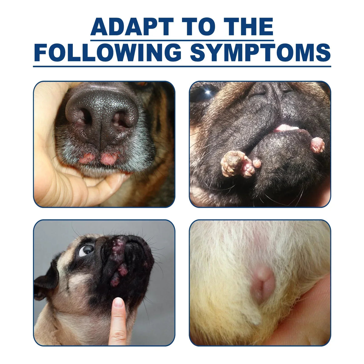 Painless Wart Removal Liquid Dog Wart Remover, Cat Skin Tags Removal Treat against Moles Corn, Skin Repair, Pet Skin Care Liquid