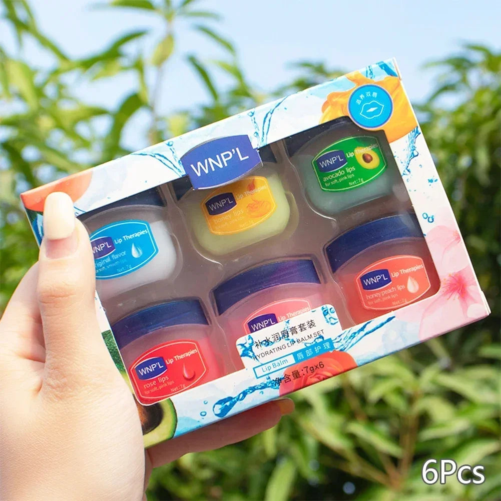 4/6/8pcs Moisturizing Lip Balm Sets Lipstick Makeup Natural Plant Base Moisturizer Lip Balm Anti-Cracking Lips Skin Care