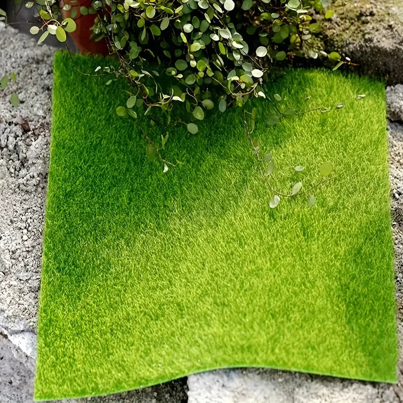Of fairy garden grass