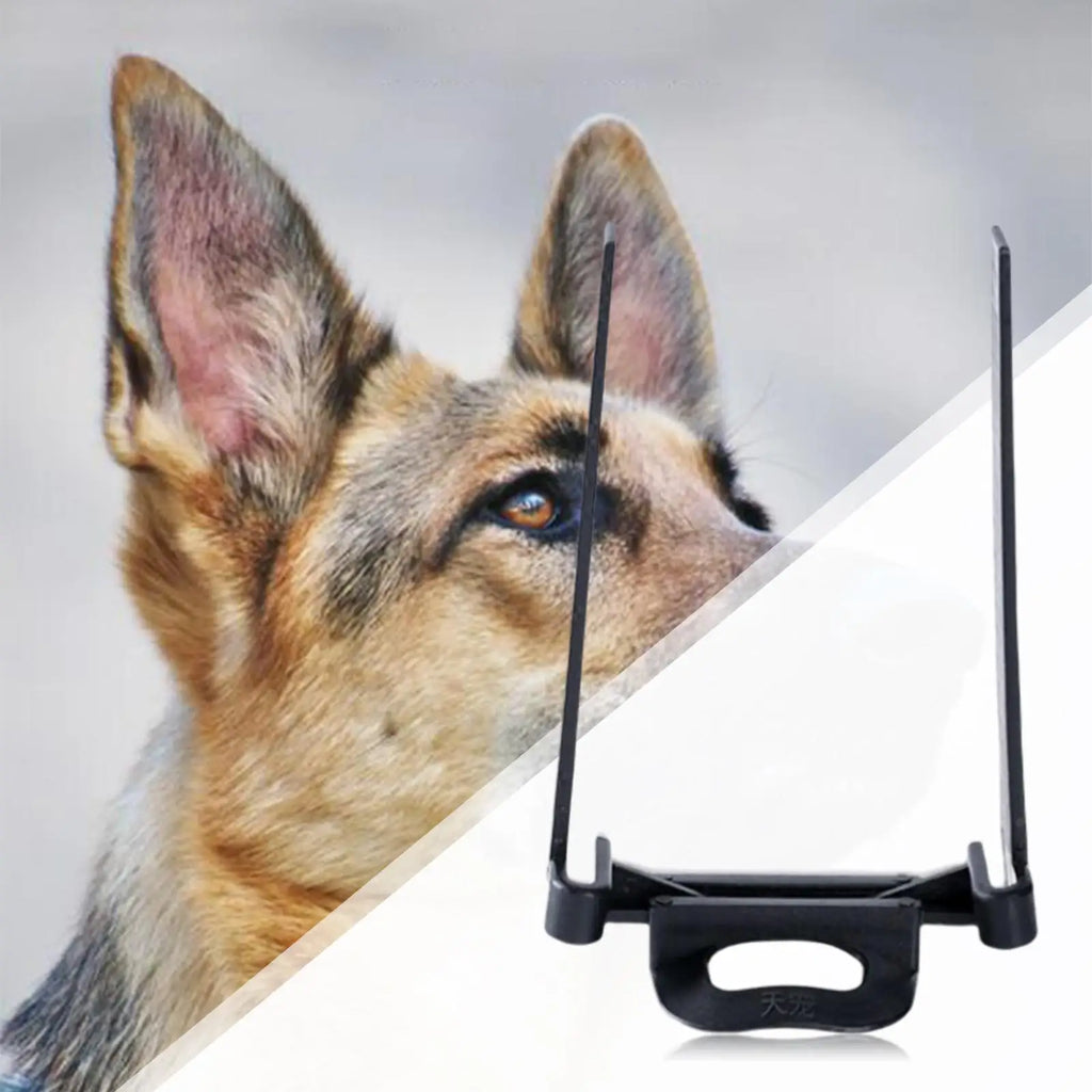 Dog Special Ear Support Pet Dogs Erect Ear Tools Kit with Brush and Glue for Medium Large Dogs
