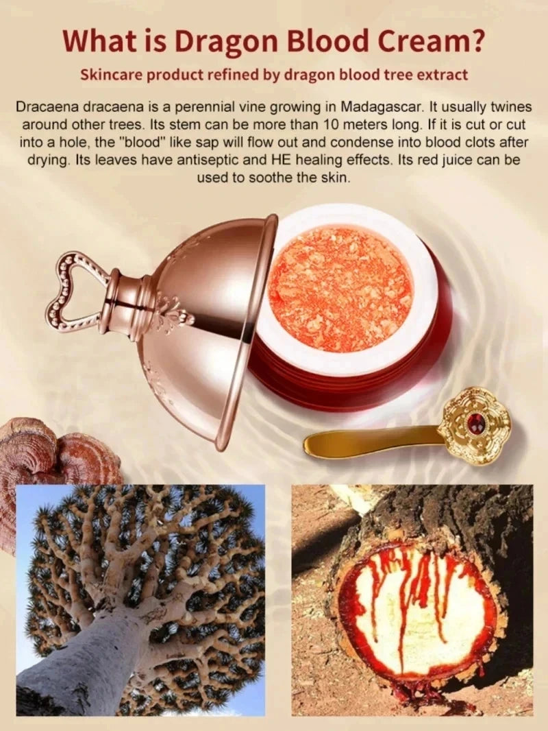 Dragon's Blood Face Cream Retinol Placenta Essence Cream Brightening Lift Firming Skin Care Korean Cosmetics