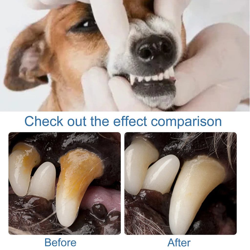60ml Pet Tartar Remover Natural Plaques Off Tartar Remover Freshen Breath Foam For Dogs Cats Safe Effective Support Healthy Gums