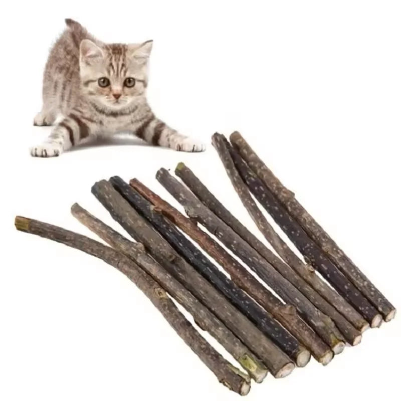 10Pcs/15Pcs/20Pcs Cat-Snack Polygonum Natural Polygonum Stick Molar Stick Thin Rod Polygonum Pet Supple