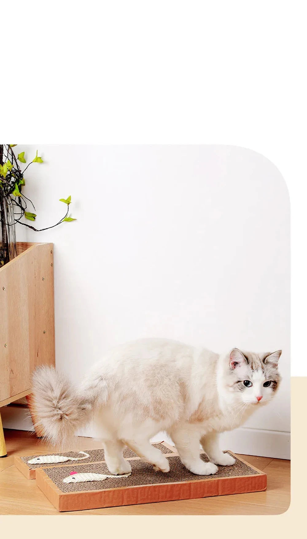 Pet Cat Scratching Board Cat Cardboard Mat Scraper Grinding Claw Toys for Cat Scratcher Cat Furniture Protector Cat Accesorios