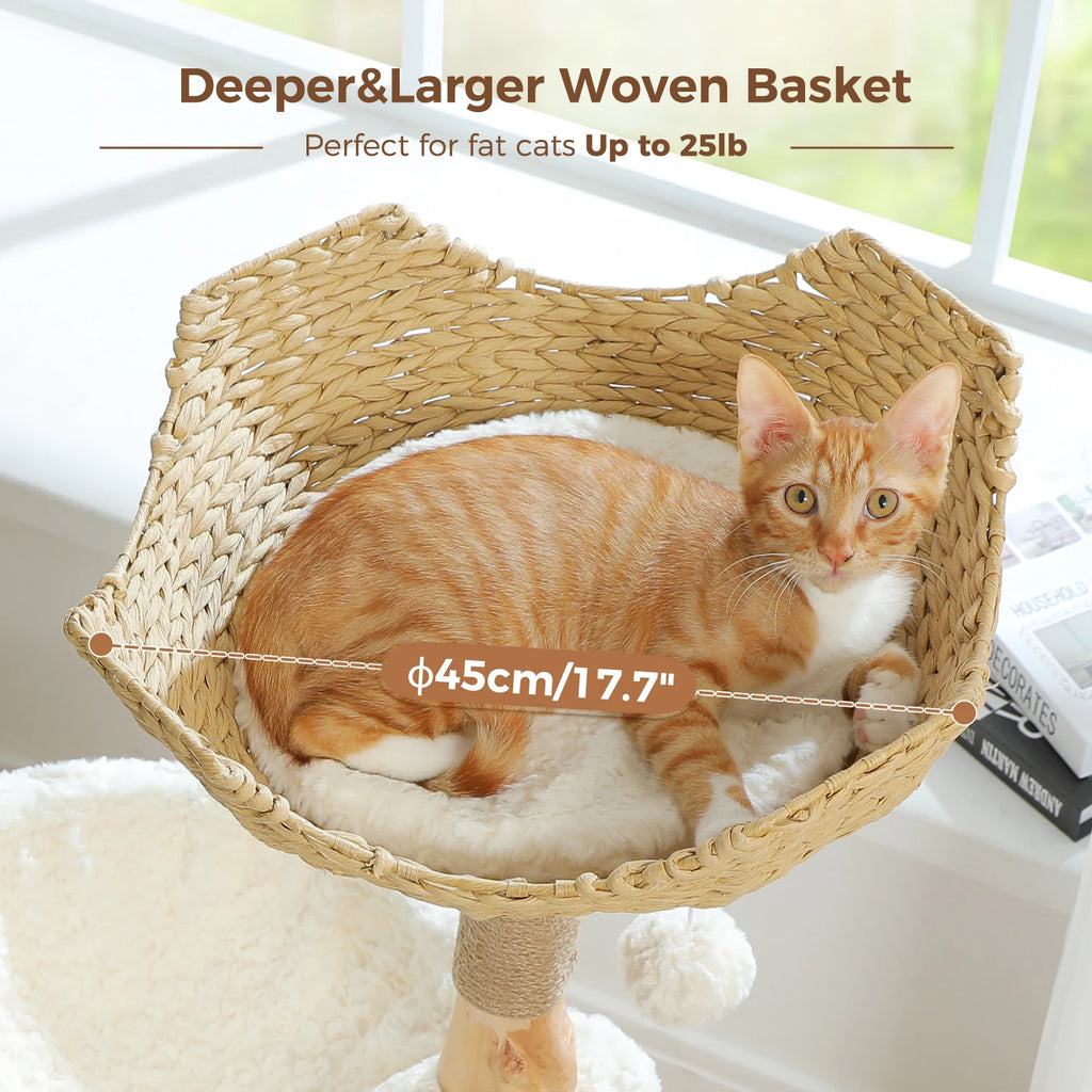 Modern Cat Tree Tower with Natural Solid Wood Scratching