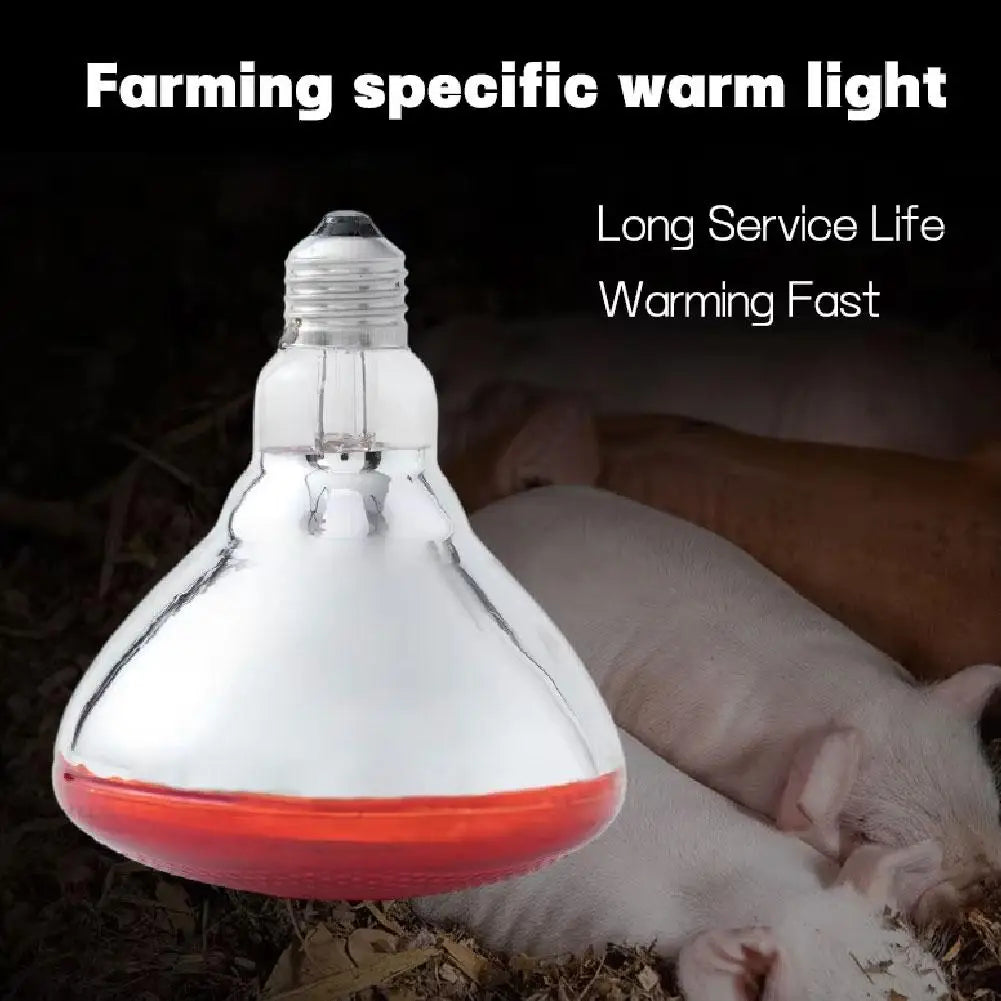 100w 150w 175w 200w 250w 275w Pet Red Heating Lamp for Chickens Coop Brooder And Reptile Heat Bulb Infrared Red Light Tool