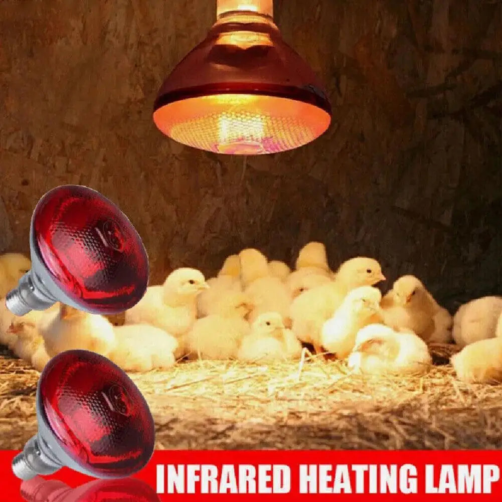 100w 150w 175w 200w 250w 275w Pet Red Heating Lamp for Chickens Coop Brooder And Reptile Heat Bulb Infrared Red Light Tool