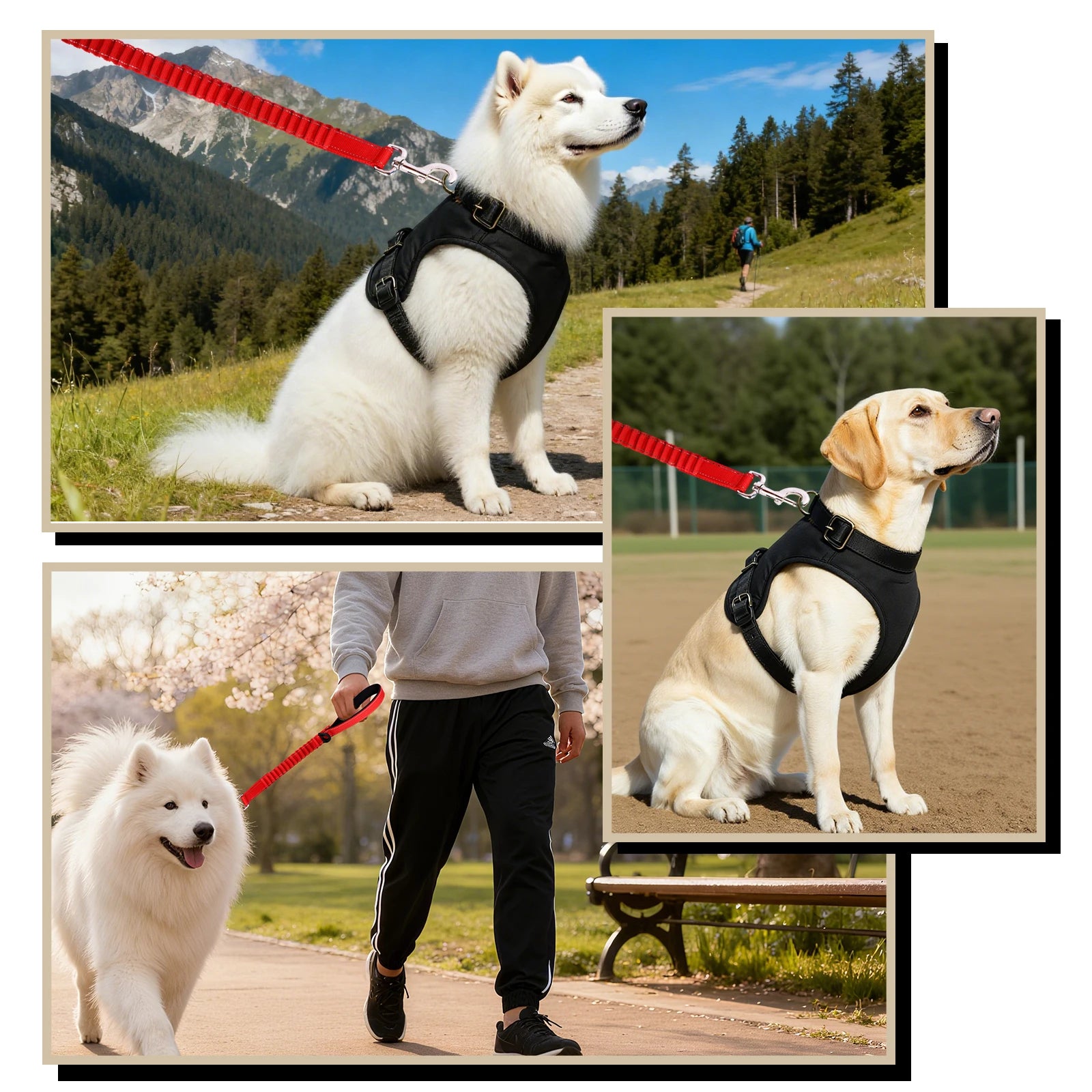 Hand Free Dog Leash for Pet Walking Running Jogging Adjustable Dog leash Waist Belt Chest Strap Traction Rope Dog Accessories