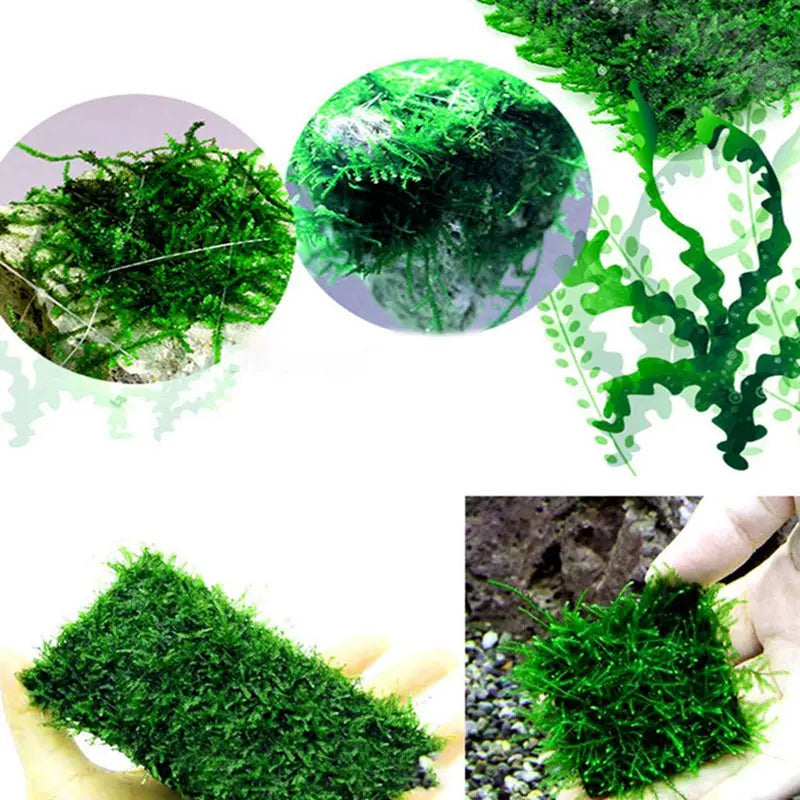 Aquarium Stainless Steel Wire Mesh Pad Aquatic Moss Plants Fixing Holder Landscaping Fish Tank Decoration Aquatic Accessories