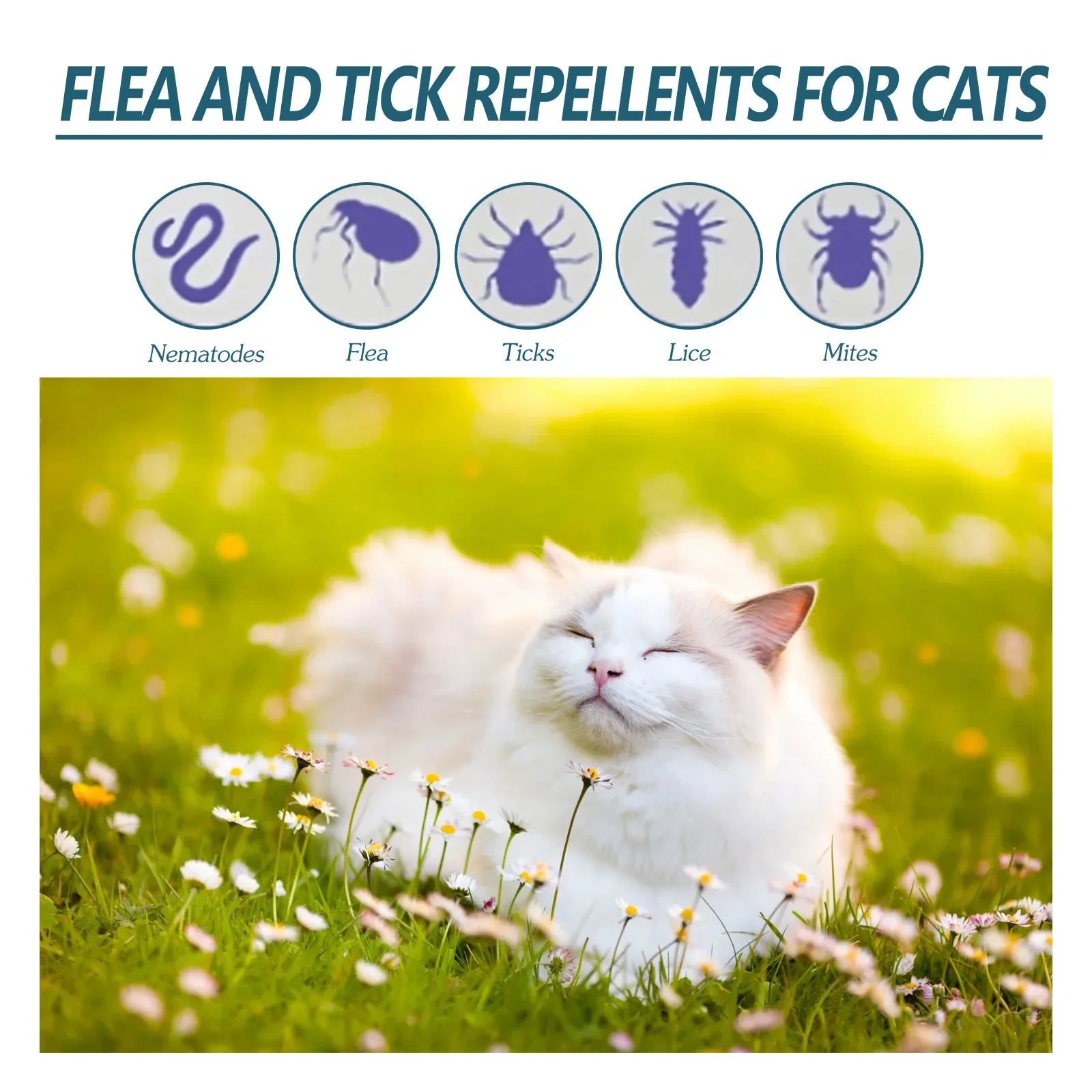 Pet Fleas Killer Drops Lice Mite Removal  Insect Repellent for Cats and Dogs, Skin Cleaning in Vitro Pet Anti Tick Drops Agent