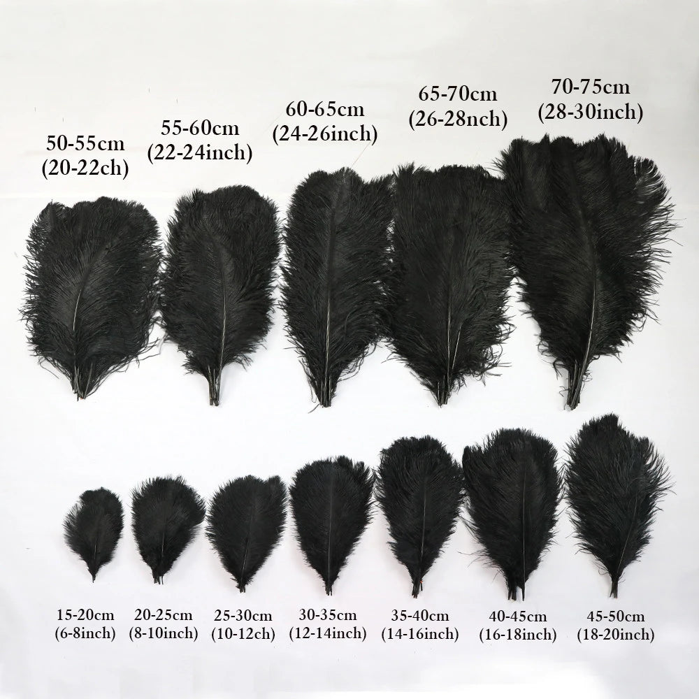 Wholesale 10PCS Natural Ostrich Feathers 15-55cm for Crafts Wedding Party Home Decor Ostrich Plumes Table Centerpiece Feather