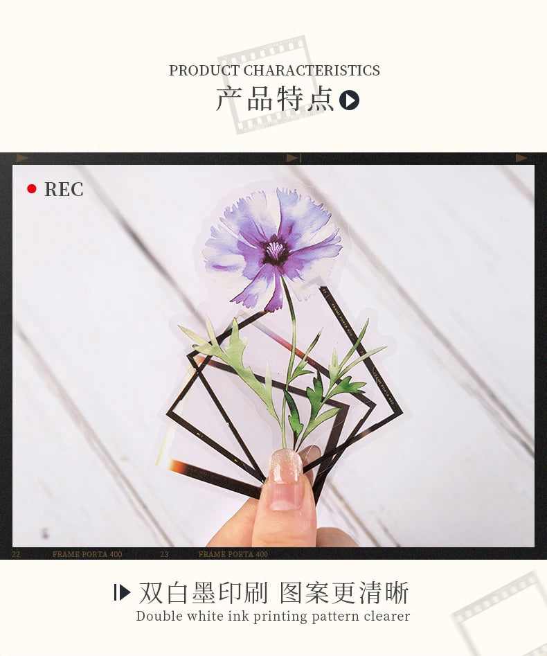 30 pcs film and Flowers Plant Stickers pack Creativity PET Decorative Sticker for DIY Diary Scrapbooking Junk Journal Supplies