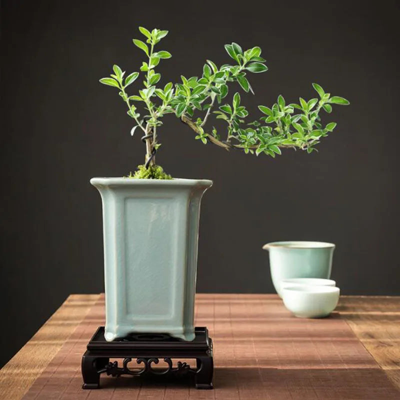 Creative Geyao Ice Crack Chinese Style Orchid Plant Pot Flowerpot Desktop Ornaments Vase Bonsai Container Planter Home Decor