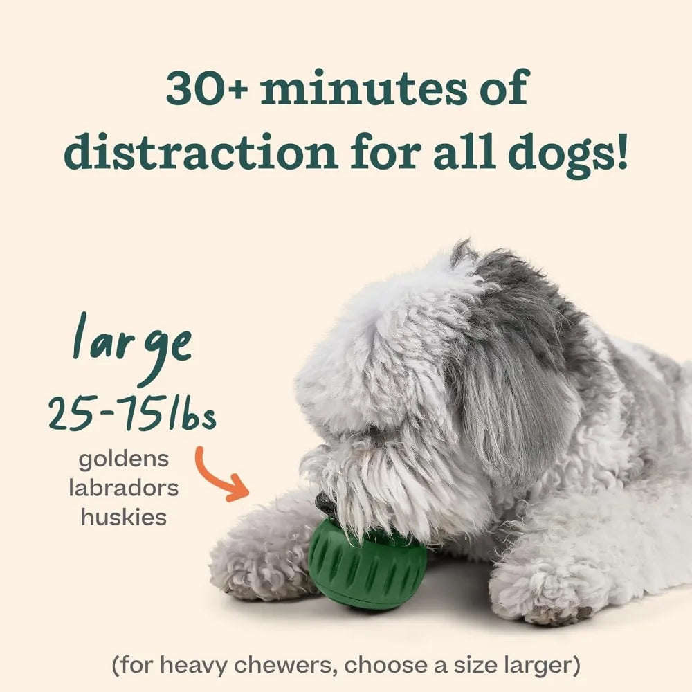 Pupsicle & Treat Tray Long-Lasting Interactive Dog Ball Toy Silicone Dog Treat Mold Keep Your Pup Busy BPA Free Easy Clean Toys