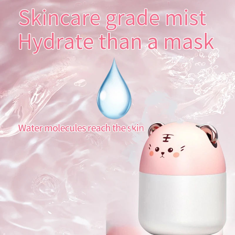 Cute Mini USB Desktop Humidifier