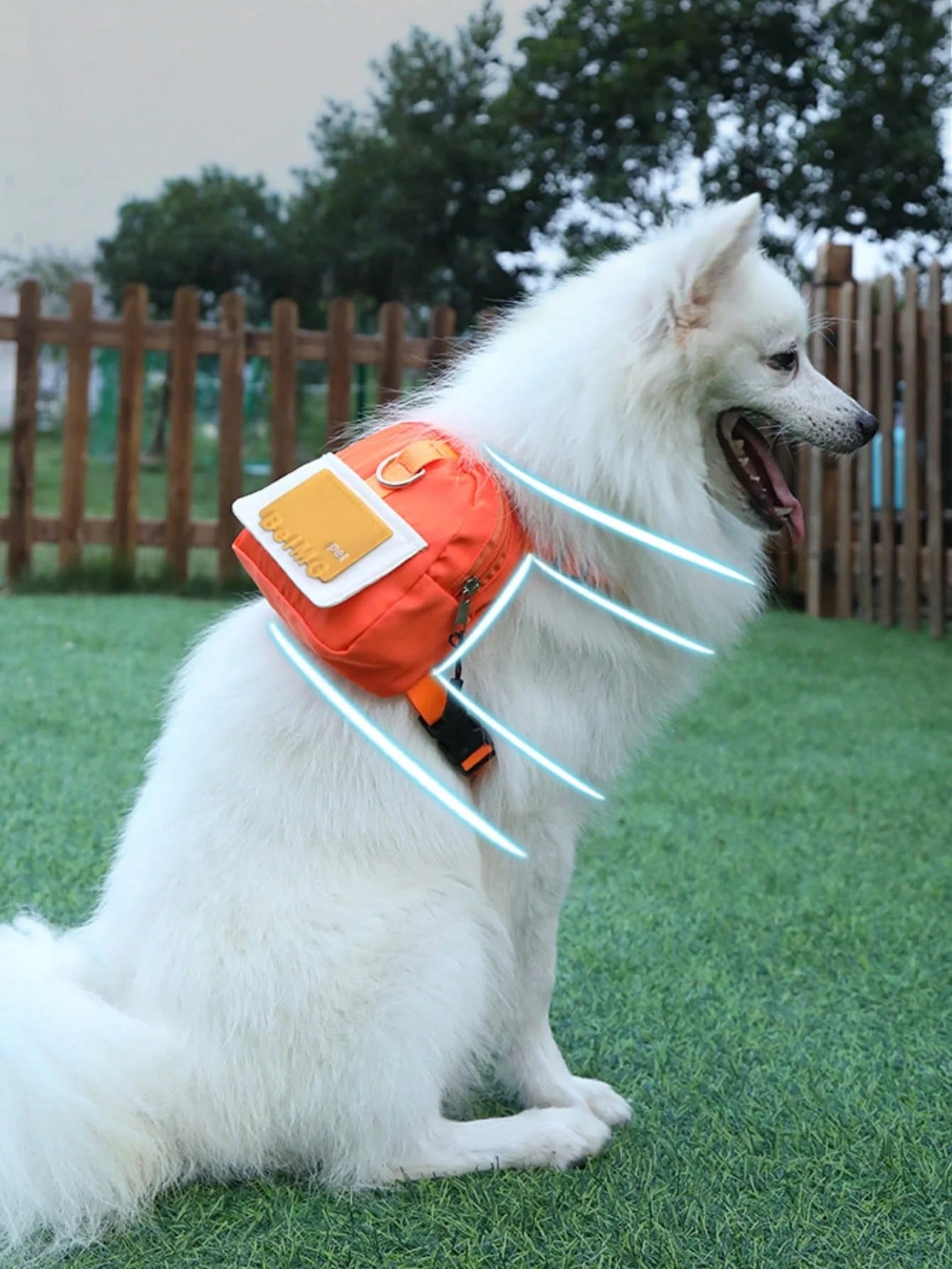 Pet Backpack & Leash Combo (1 Set) - 4 Colors, Breathable & Adjustable | Outdoor/Daily Gear for Small & Medium-Sized Dogs