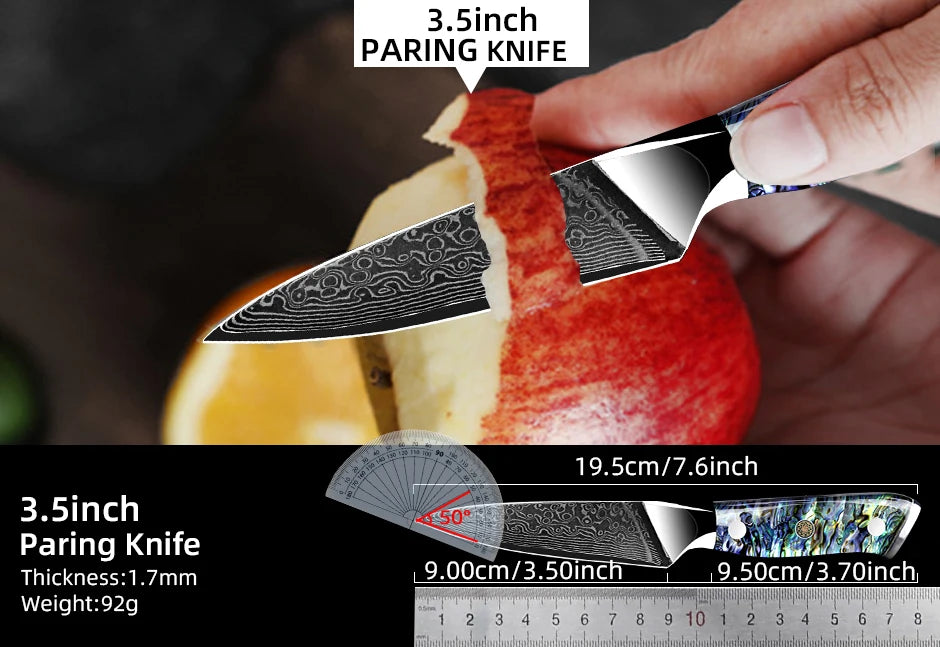 Damascus Knife Chef Knife Japanes VG10 67 Layer Steel Cleaver Paring Bread Knife Lasting Sharp Abalone Shell Handle Kitchen Gift