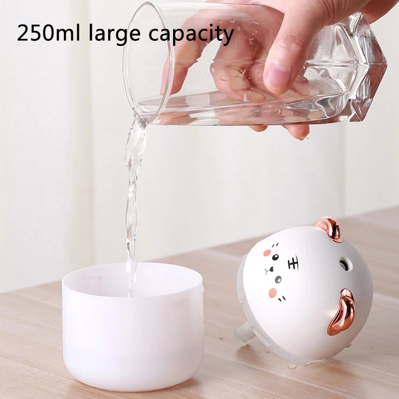 Cute Mini USB Desktop Humidifier