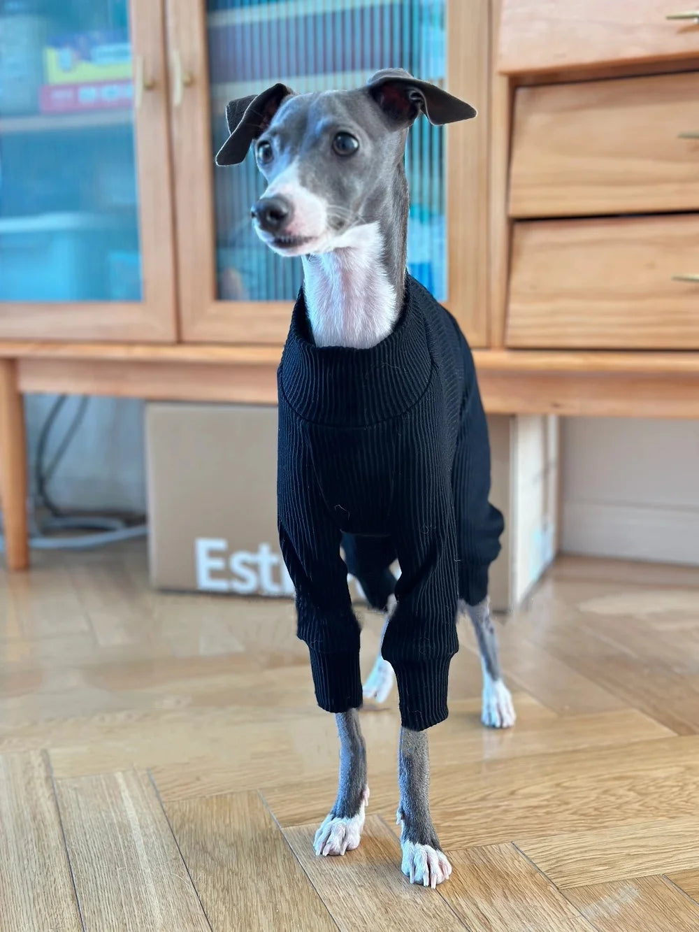Clothing for Dogs Cute Winter Puppy Clothes Autumn Warm 4-legged Cotton Coffee Coat for Italian Greyhound Whippet Dog Sweatshirt