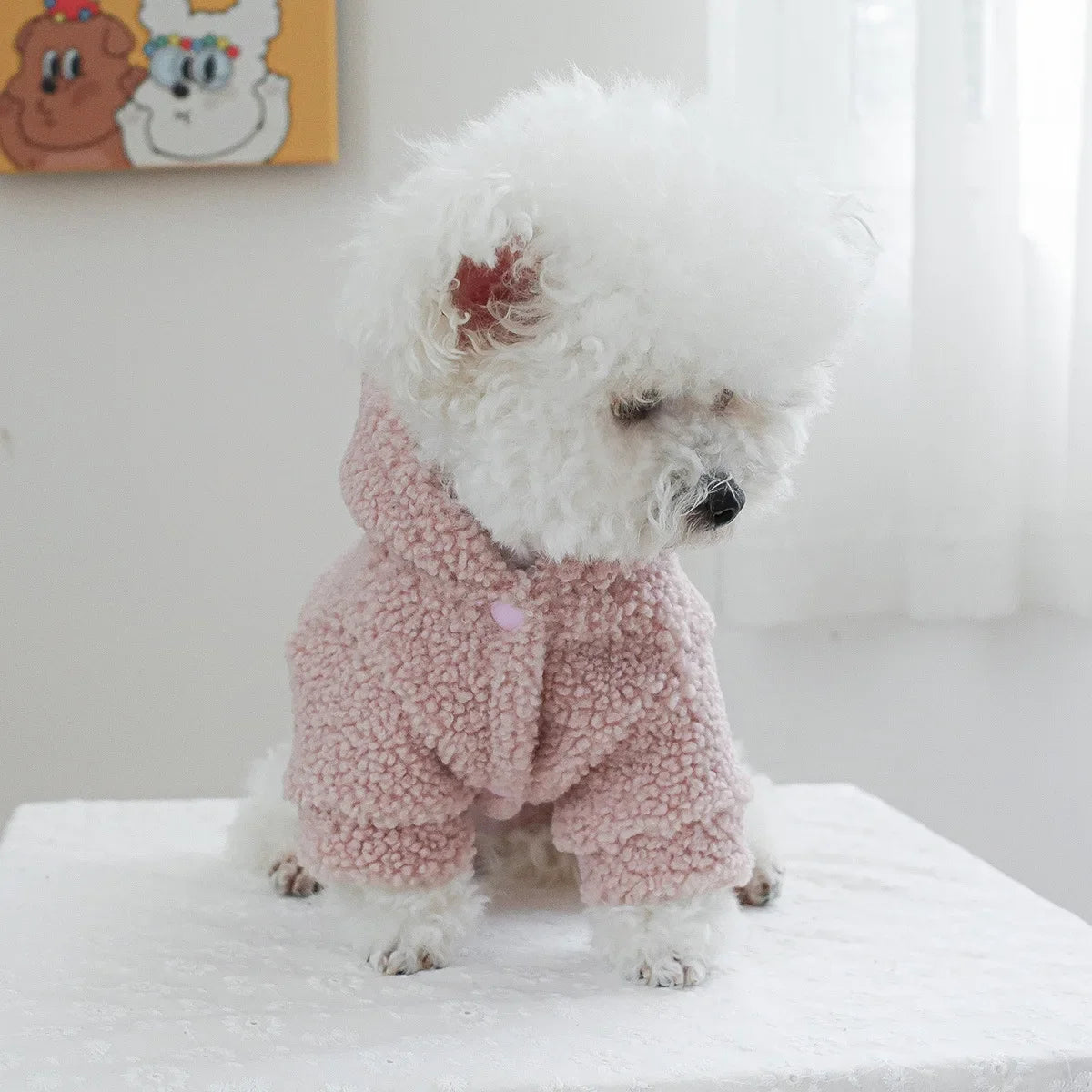 Autumn and Winter Pet Lamb Fleece Hooded Jacket Puppy and Cat Clothes New Models Thick and Warm Letter Hoodie Pet Clothes