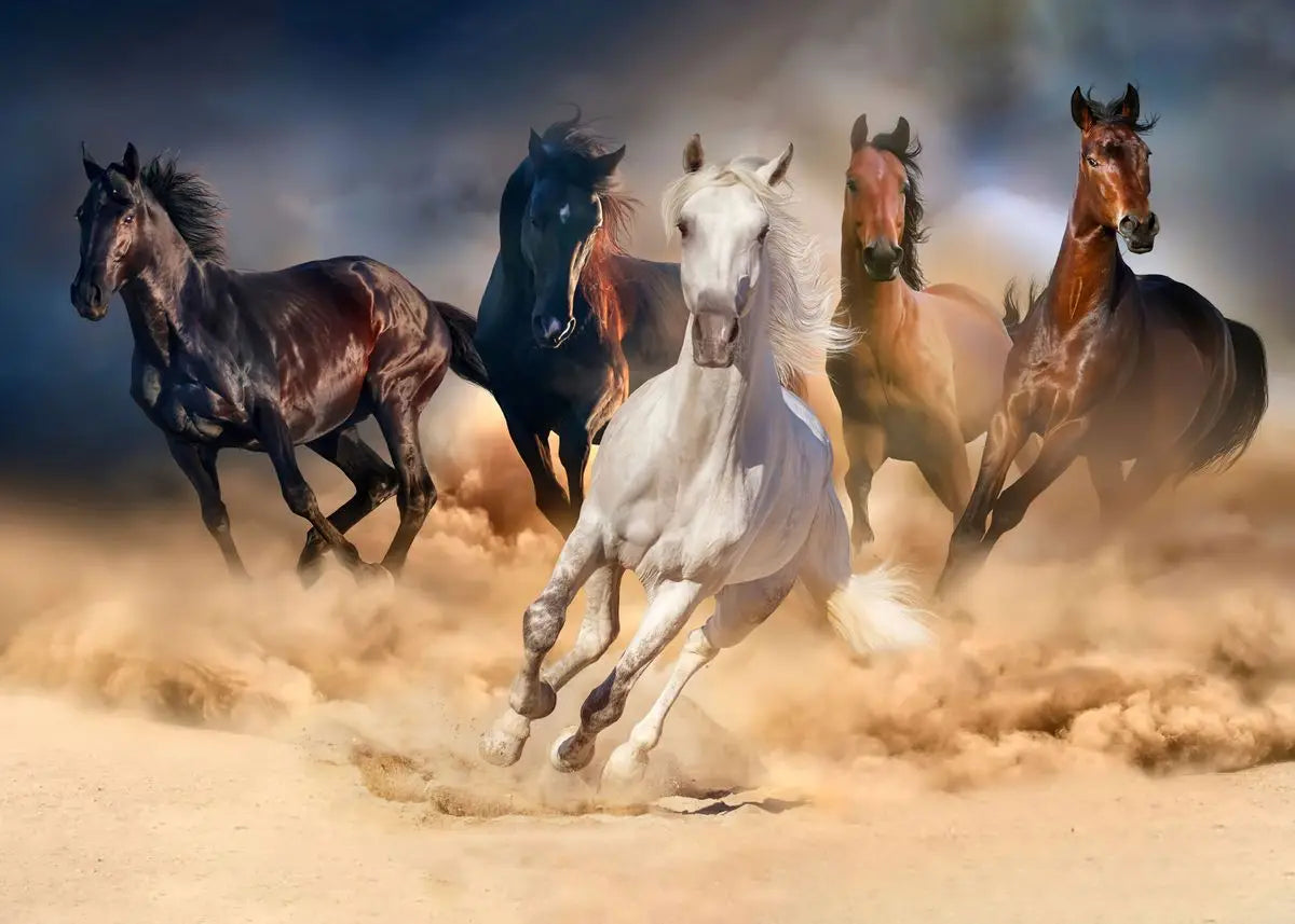 Handsome Horse Watercolor Painting Canvas Poster Animals Wall Art Pictures for Living Room Bedroom Playroom Modern Home Decor