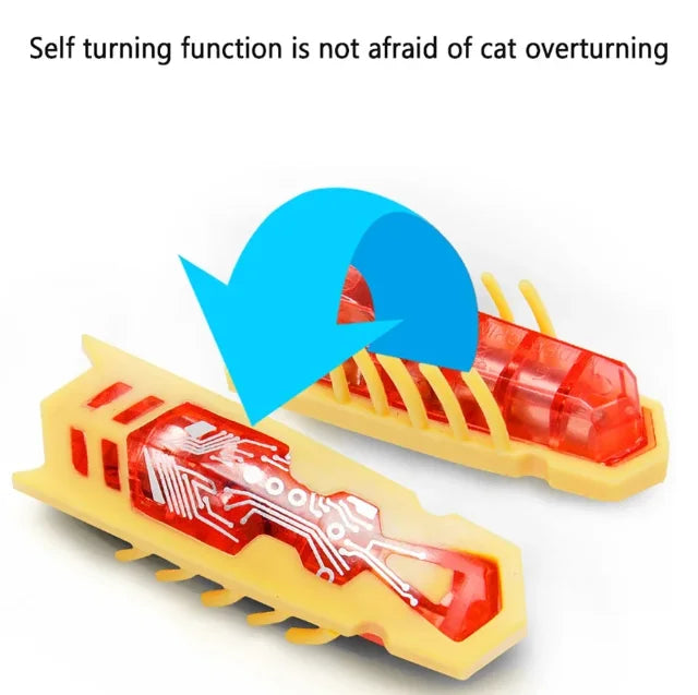 Pet interactive mini electric nano insect cat toy automatic obstacle avoidance and flipping toy battery driven Beetle toy