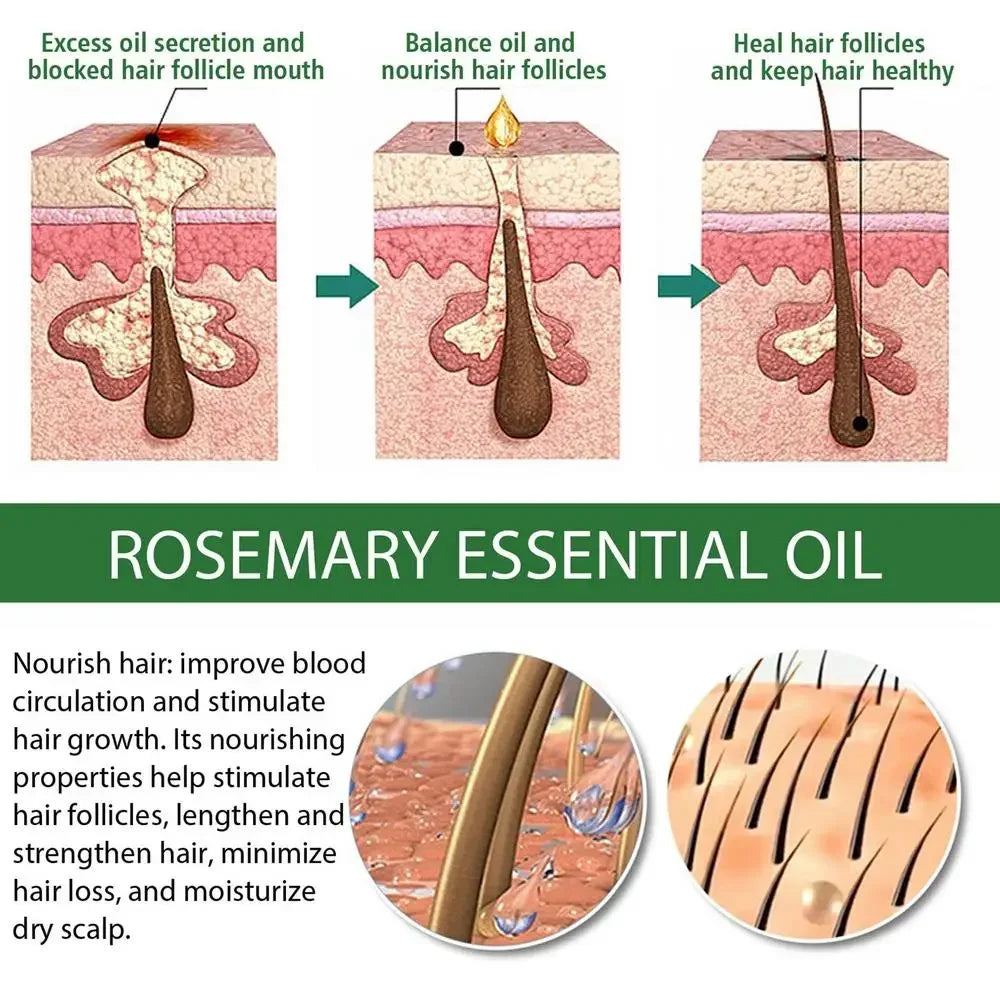 Rosemary Hair Care Oil 2.02 Oz Skin Care Essence Refreshing Essential Oils for Nourish the Scalp Dry Skin Enhanced Hair Shine