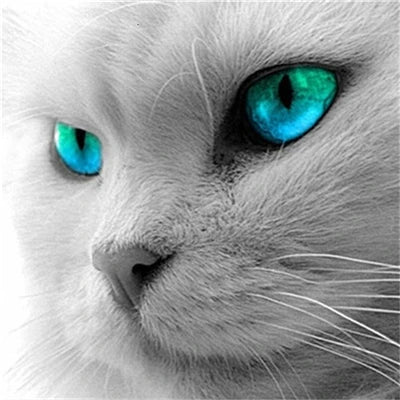 Huacan Diy Diamond Painting Full Drill Cat Home Decor Diamond Art Embroidery Mosaic Animal Wall Sticker