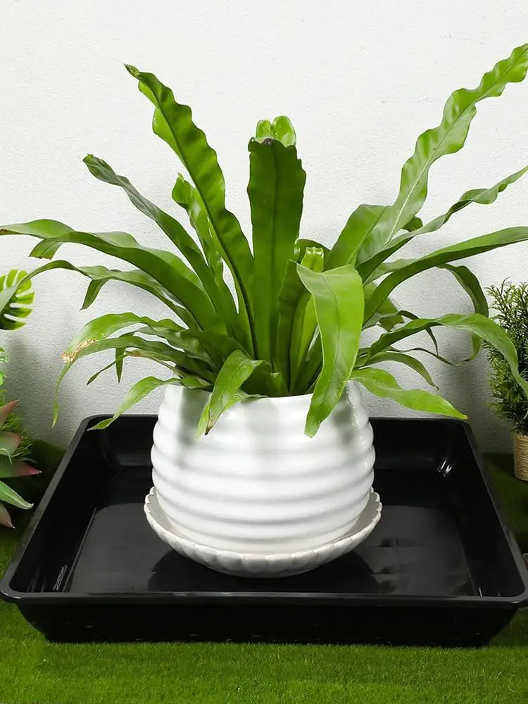 Plant Saucer Square Durable Flower Pot Indoor Outdoor Heavy Duty Tray Square Flowerpot Water Dish Home Decor for Gardening