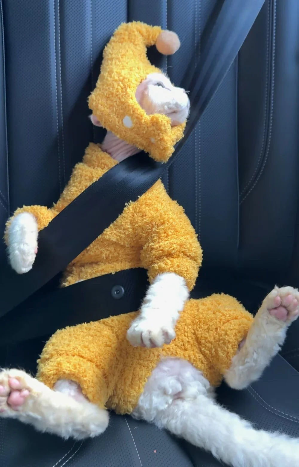 Winter Warm Plush 4-legged Sweatshirt Hat Suit for Devon Rex in Winter Soft Yellow Red Sweater for Sphynx Cat Kittens Khaki Coat