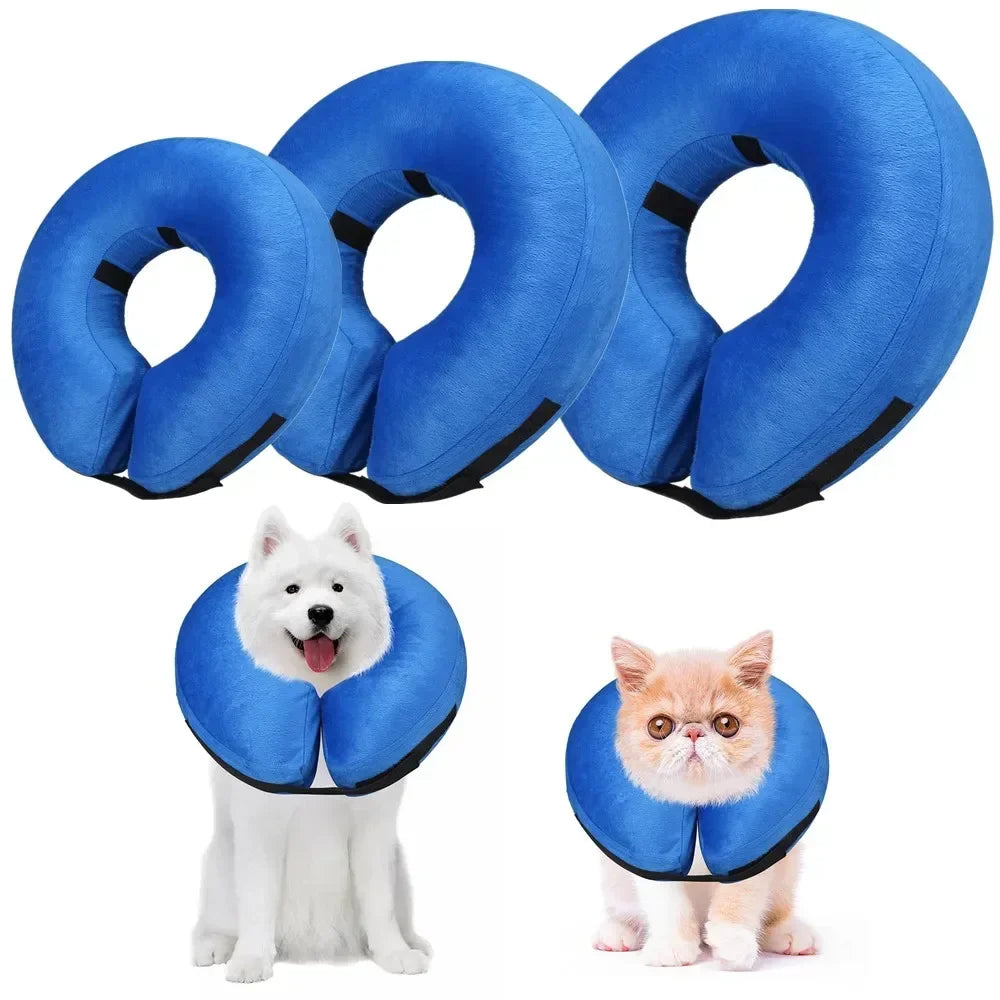 Dog Cones After Surgery