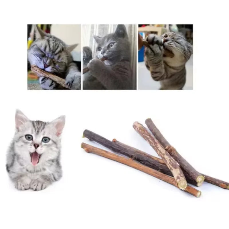 10Pcs/15Pcs/20Pcs Cat-Snack Polygonum Natural Polygonum Stick Molar Stick Thin Rod Polygonum Pet Supple