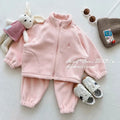 Children's Polar Fleece Suit Zipper Tracksuit Set for Boy Girl Baby Clothes Fall Winter Insulated Sweatshirt Pants Sportwear