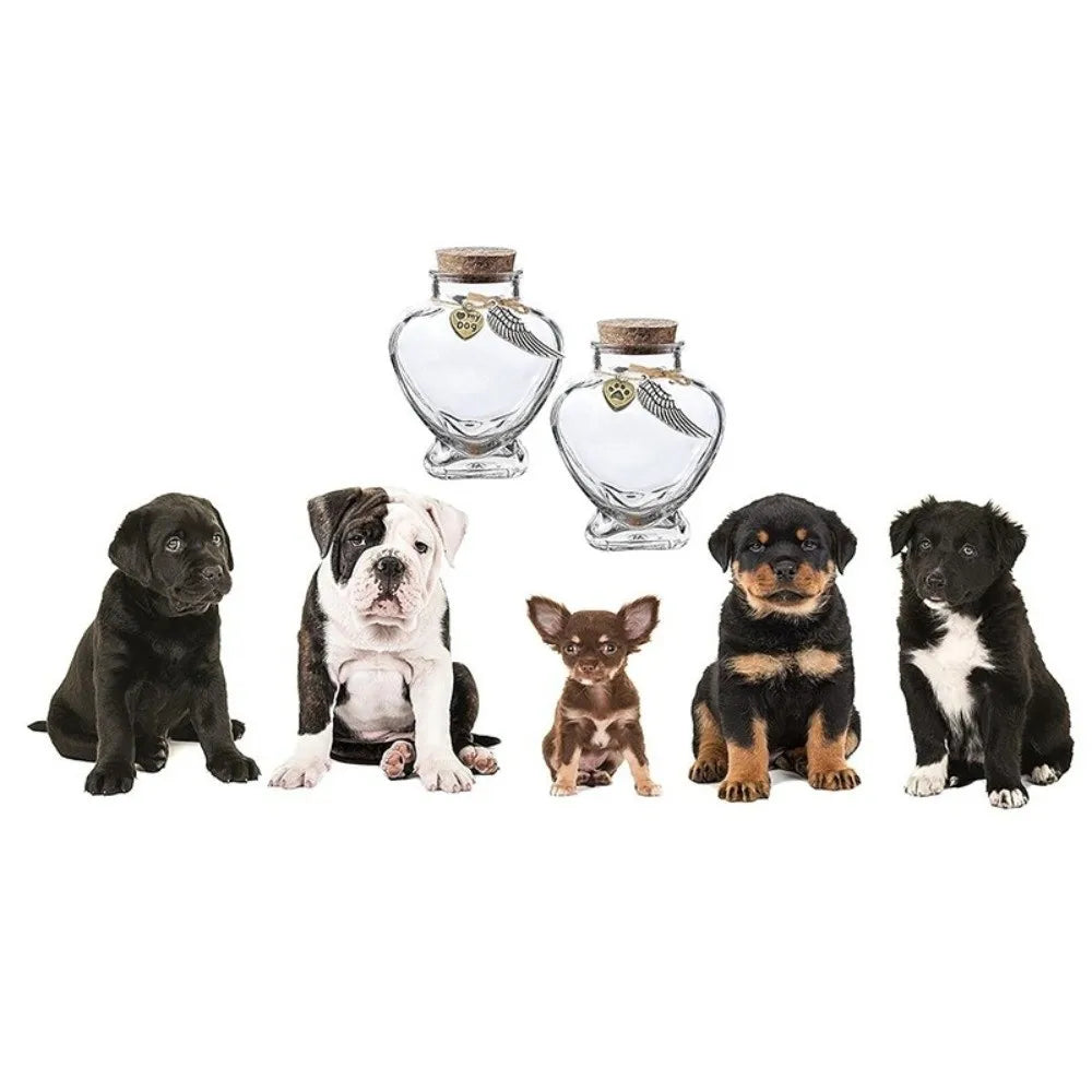 Heart-Shaped Pet Hair Storage Bottle Glass Corked Lid Cat Funeral Urn Transparent Pet Fur Keepsake Jar Pet Cremation