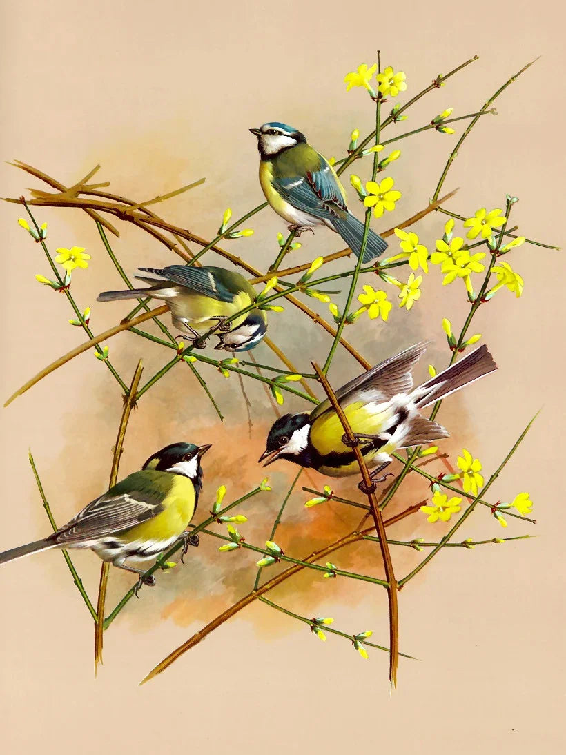 Huacan Diy Diamond Painting Animal Full Drill Embroidery Bird Home Decor Gift Rhinestone Pictures Craft Kit