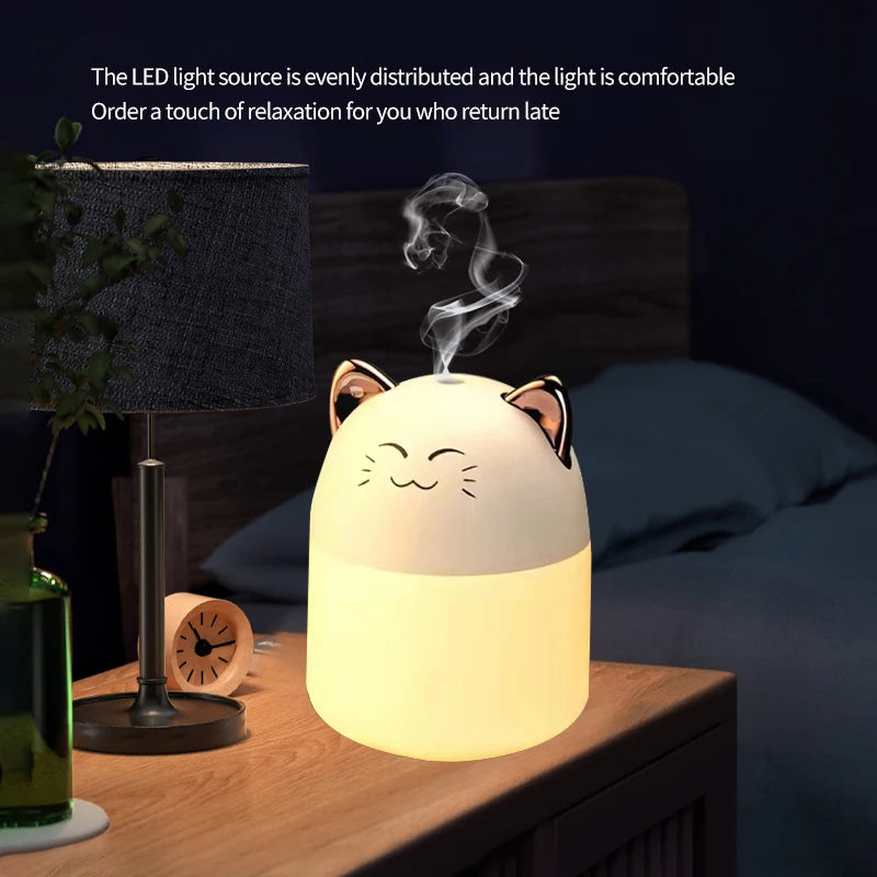 Cute Mini USB Desktop Humidifier
