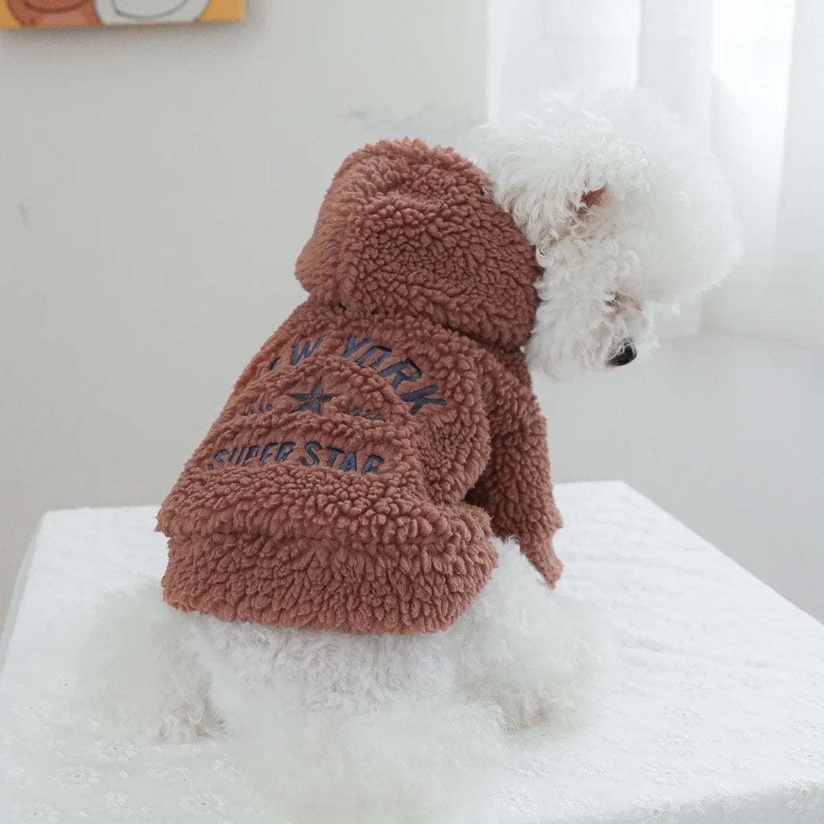 Autumn and Winter Pet Lamb Fleece Hooded Jacket Puppy and Cat Clothes New Models Thick and Warm Letter Hoodie Pet Clothes