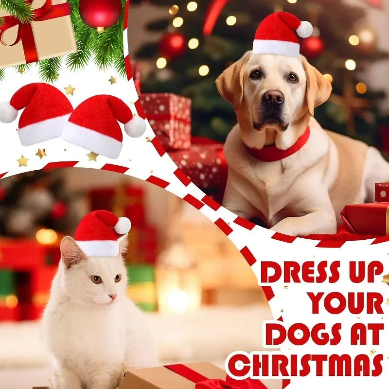 Frienda Dog Santa Hat  Christmas Hat Soft Plush Cat Hat Pet Costumes for Small Dog Cat for Pet Party Puppy Christmas Supplies