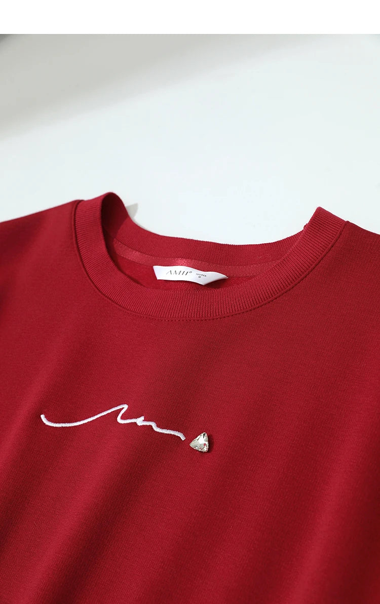Amii Woman Sweatshirts 2025 Winter New Loose Warm Long Sleeve Female Sweatshirt Embroidery Pullover O-Neck Top Female 12524025