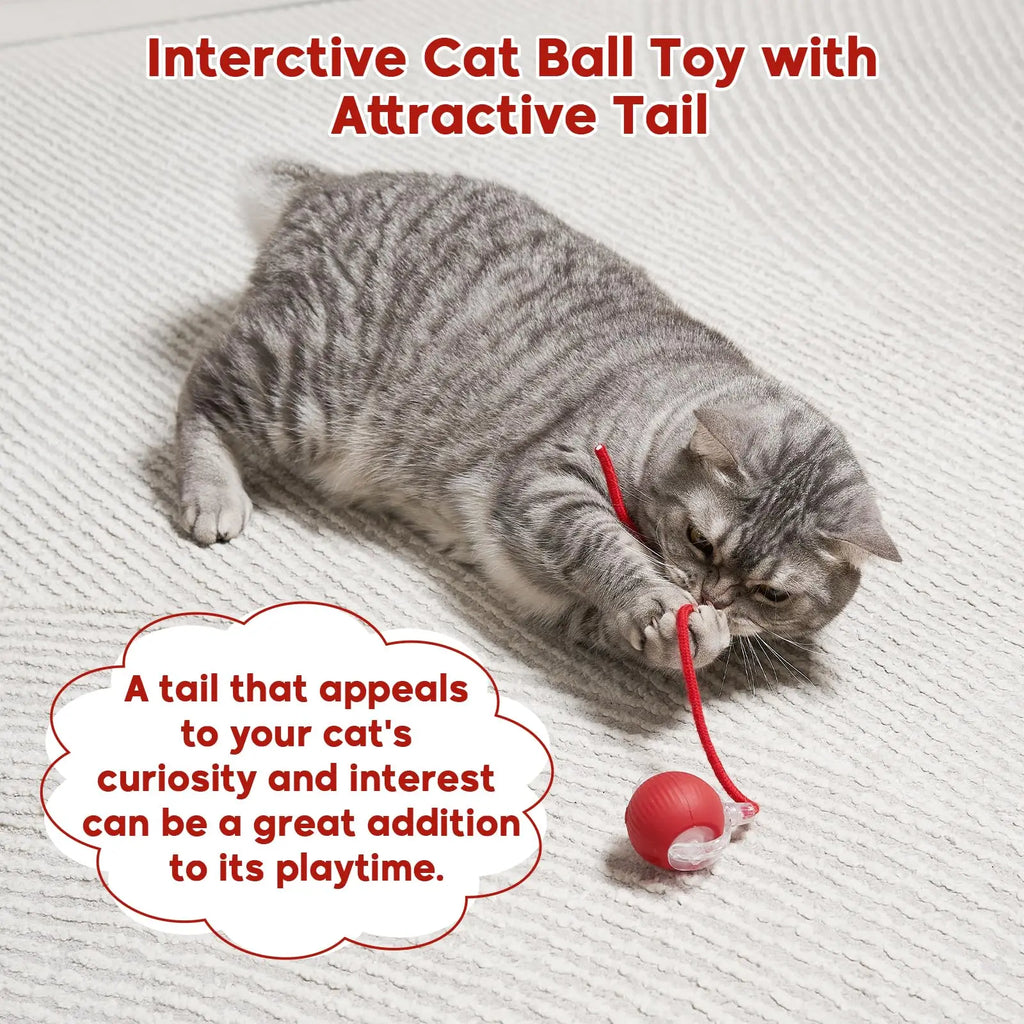 Interactive Dog Cat Toy Ball, Automatic Moving Bouncing Rolling, Pet Smart Chase Ball Rechargeable, Enrichment Toys