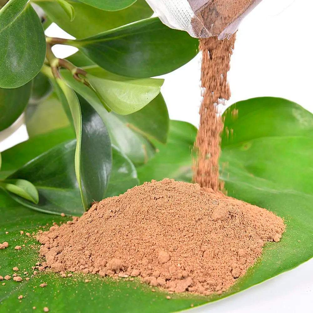 200g River Pond Mud Mud Lotus Pond Mud Flower Fertilizer Bowl Lotus Water Lotus Special Aquatic Plants Nutrition Soil