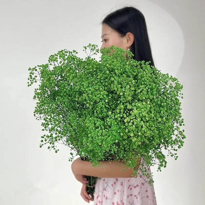 100g Dried Flowers Baby Breath Preserved Flowers Gypsophila Bouquet Boho Home Decor Colorful Gypsophile Wedding Party Decoration