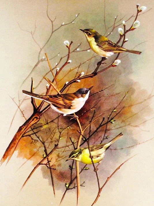 Huacan Diy Diamond Painting Animal Full Drill Embroidery Bird Home Decor Gift Rhinestone Pictures Craft Kit