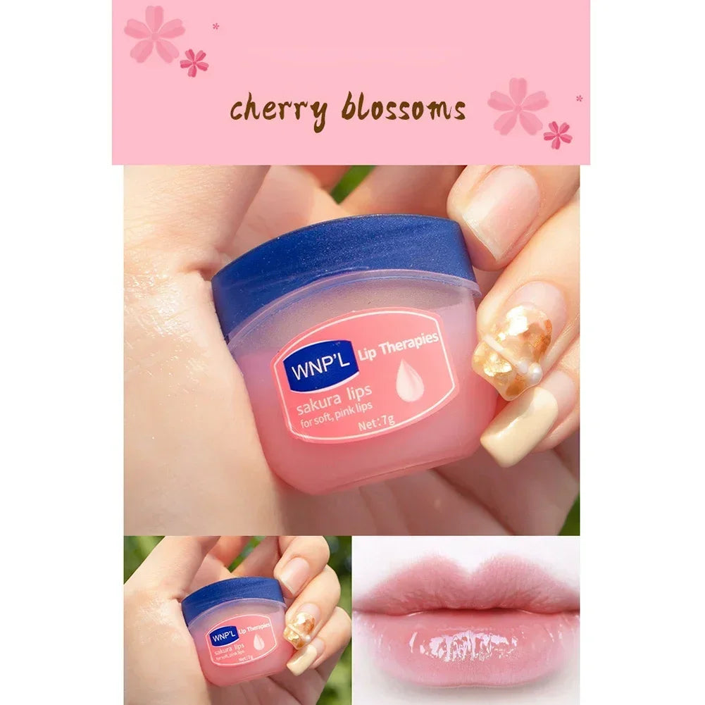 4/6/8pcs Moisturizing Lip Balm Sets Lipstick Makeup Natural Plant Base Moisturizer Lip Balm Anti-Cracking Lips Skin Care
