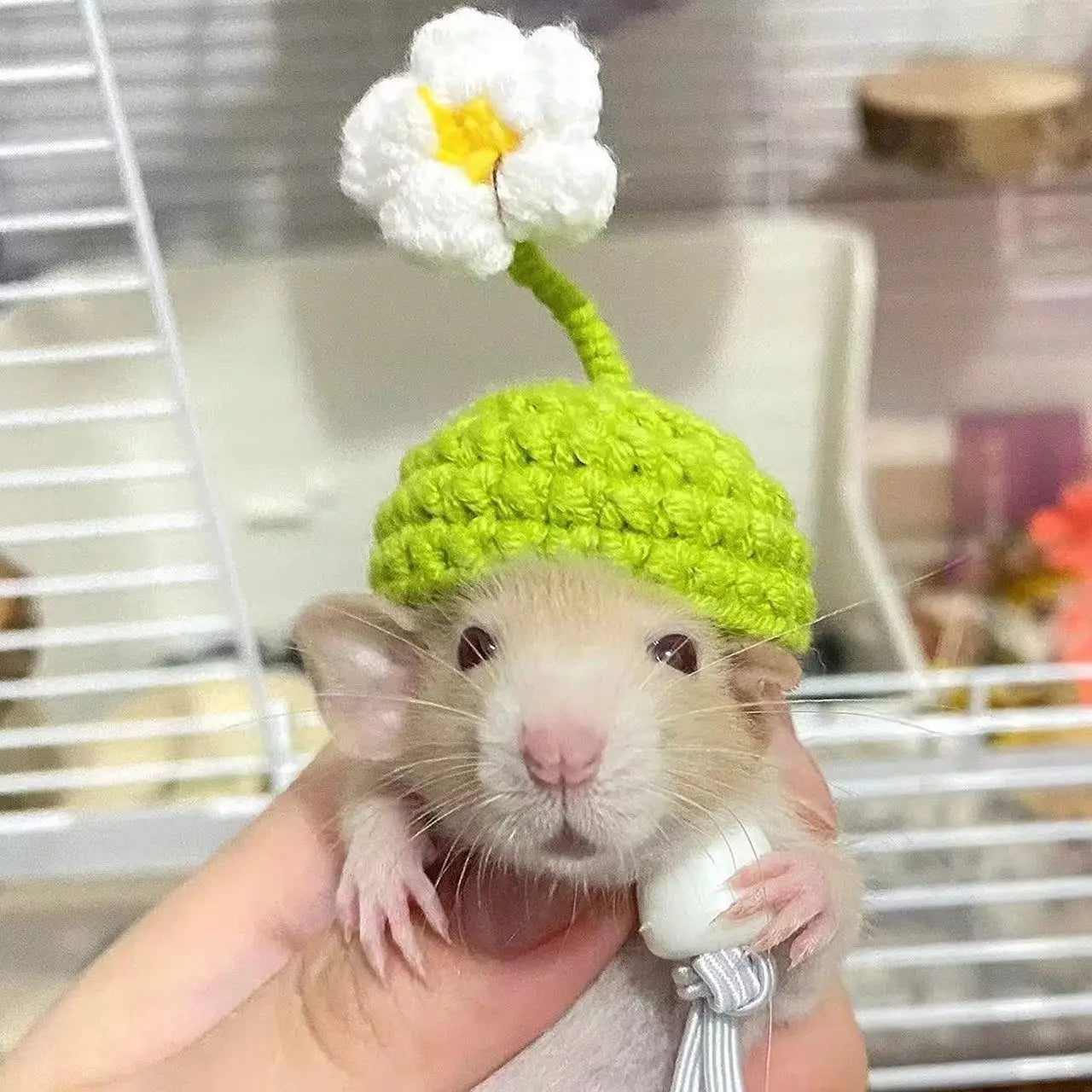 Cute Handmade Knitted Hat Hamster Decoration Chipmunk Guinea Pig Hamster Accessories Hamster Toy Supplies Small Pet Hat